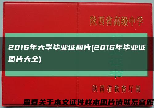 2016年大学毕业证图片(2016年毕业证图片大全)缩略图