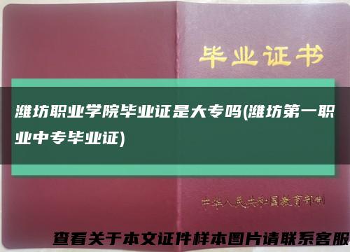 潍坊职业学院毕业证是大专吗(潍坊第一职业中专毕业证)缩略图