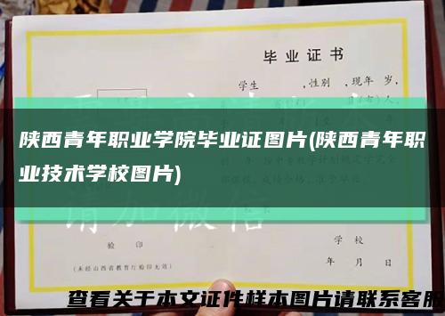 陕西青年职业学院毕业证图片(陕西青年职业技术学校图片)缩略图