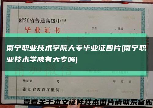 南宁职业技术学院大专毕业证图片(南宁职业技术学院有大专吗)缩略图