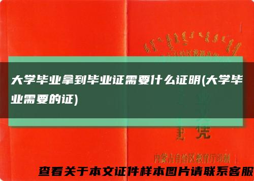 大学毕业拿到毕业证需要什么证明(大学毕业需要的证)缩略图