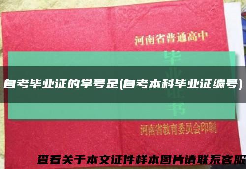 自考毕业证的学号是(自考本科毕业证编号)缩略图