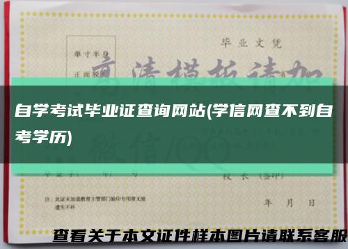 自学考试毕业证查询网站(学信网查不到自考学历)缩略图