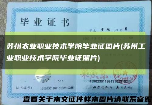 苏州农业职业技术学院毕业证图片(苏州工业职业技术学院毕业证照片)缩略图