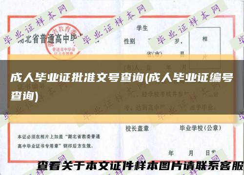 成人毕业证批准文号查询(成人毕业证编号查询)缩略图