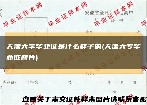 天津大学毕业证是什么样子的(天津大专毕业证图片)缩略图