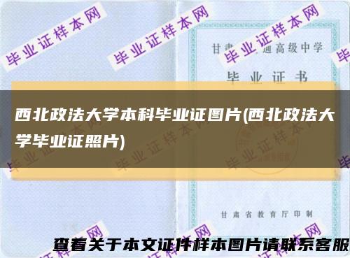 西北政法大学本科毕业证图片(西北政法大学毕业证照片)缩略图