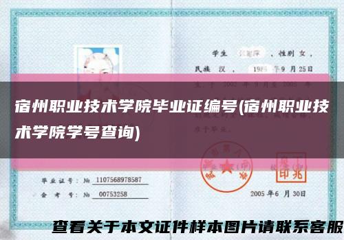 宿州职业技术学院毕业证编号(宿州职业技术学院学号查询)缩略图