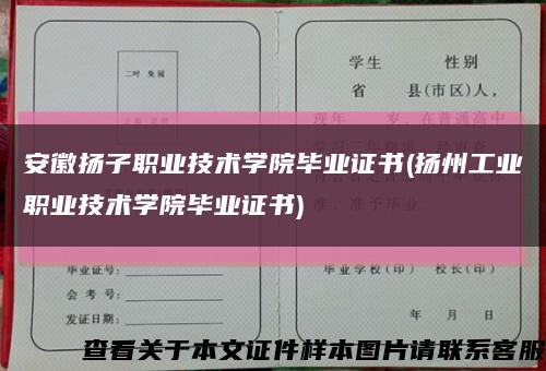 安徽扬子职业技术学院毕业证书(扬州工业职业技术学院毕业证书)缩略图