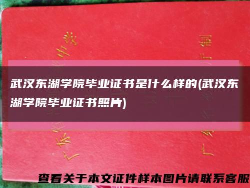 武汉东湖学院毕业证书是什么样的(武汉东湖学院毕业证书照片)缩略图