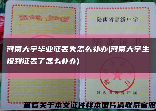 河南大学毕业证丢失怎么补办(河南大学生报到证丢了怎么补办)缩略图