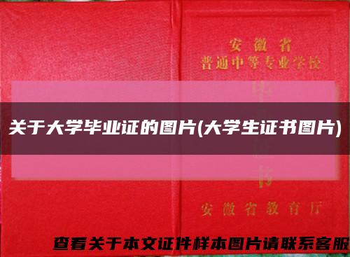 关于大学毕业证的图片(大学生证书图片)缩略图