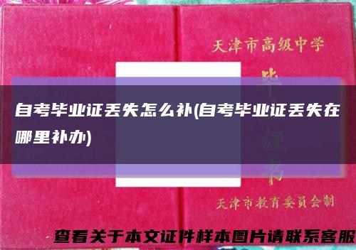 自考毕业证丢失怎么补(自考毕业证丢失在哪里补办)缩略图