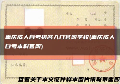 重庆成人自考报名入口官网学校(重庆成人自考本科官网)缩略图