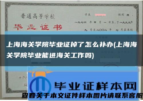 上海海关学院毕业证掉了怎么补办(上海海关学院毕业能进海关工作吗)缩略图