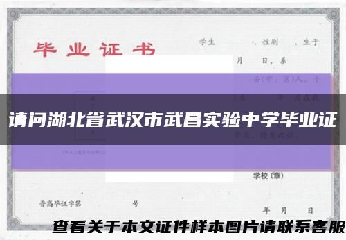 请问湖北省武汉市武昌实验中学毕业证缩略图