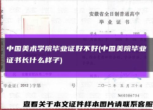 中国美术学院毕业证好不好(中国美院毕业证书长什么样子)缩略图