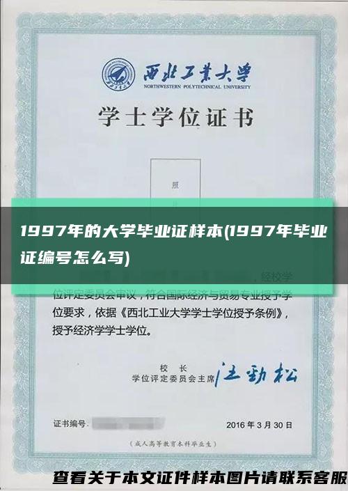 1997年的大学毕业证样本(1997年毕业证编号怎么写)缩略图