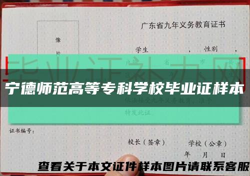 宁德师范高等专科学校毕业证样本缩略图