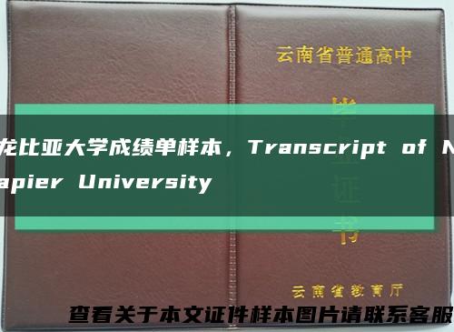 龙比亚大学成绩单样本，Transcript of Napier University缩略图