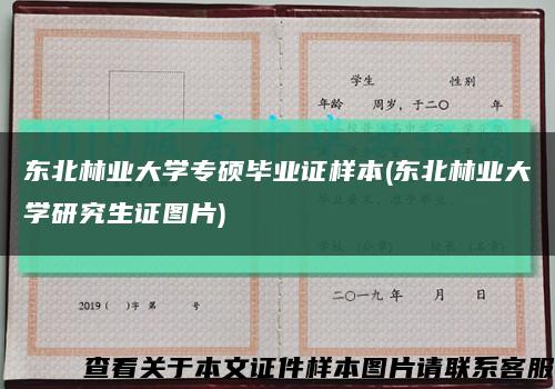 东北林业大学专硕毕业证样本(东北林业大学研究生证图片)缩略图