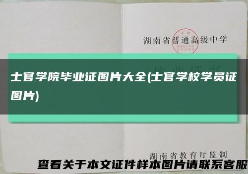 士官学院毕业证图片大全(士官学校学员证图片)缩略图