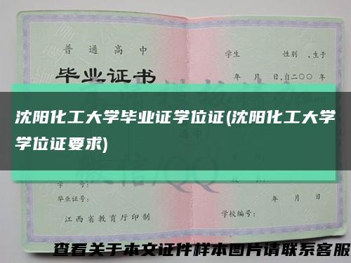 沈阳化工大学毕业证学位证(沈阳化工大学学位证要求)缩略图