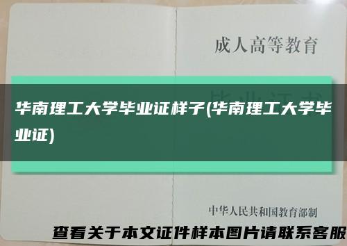 华南理工大学毕业证样子(华南理工大学毕业证)缩略图