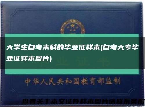 大学生自考本科的毕业证样本(自考大专毕业证样本图片)缩略图