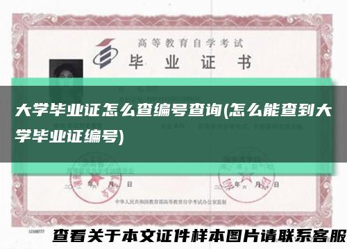 大学毕业证怎么查编号查询(怎么能查到大学毕业证编号)缩略图