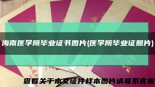 海南医学院毕业证书图片(医学院毕业证照片)缩略图