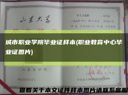 城市职业学院毕业证样本(职业教育中心毕业证图片)缩略图