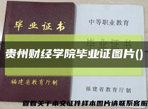 贵州财经学院毕业证图片()缩略图