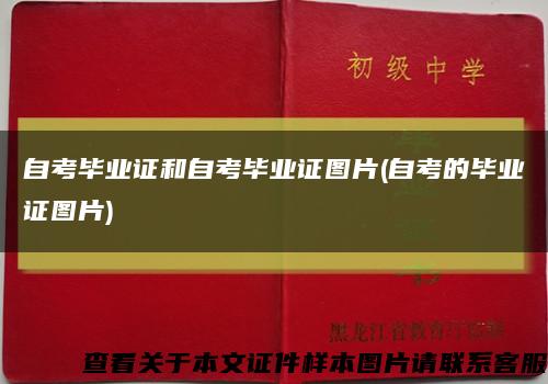 自考毕业证和自考毕业证图片(自考的毕业证图片)缩略图