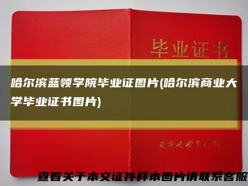 哈尔滨蓝领学院毕业证图片(哈尔滨商业大学毕业证书图片)缩略图