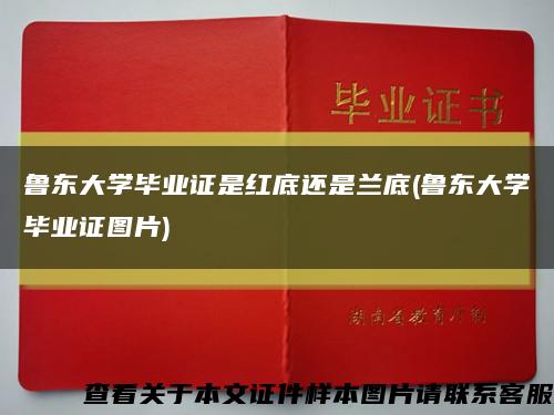 鲁东大学毕业证是红底还是兰底(鲁东大学毕业证图片)缩略图