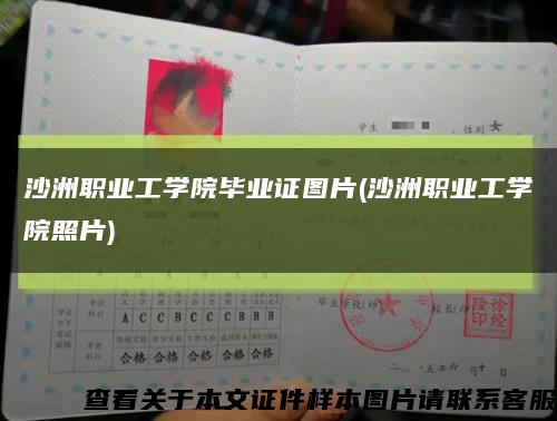 沙洲职业工学院毕业证图片(沙洲职业工学院照片)缩略图