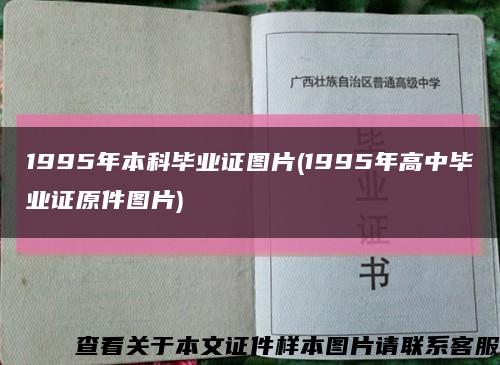 1995年本科毕业证图片(1995年高中毕业证原件图片)缩略图