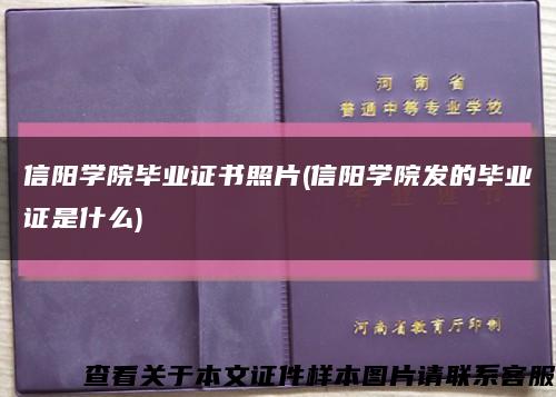 信阳学院毕业证书照片(信阳学院发的毕业证是什么)缩略图