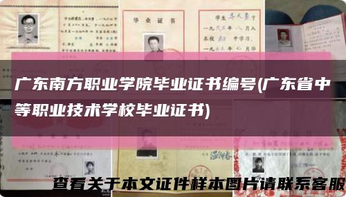 广东南方职业学院毕业证书编号(广东省中等职业技术学校毕业证书)缩略图