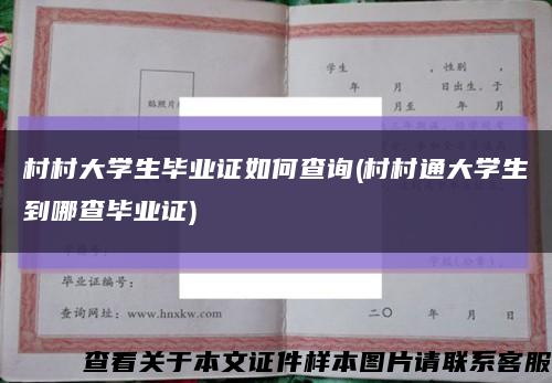 村村大学生毕业证如何查询(村村通大学生到哪查毕业证)缩略图