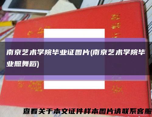 南京艺术学院毕业证图片(南京艺术学院毕业照舞蹈)缩略图