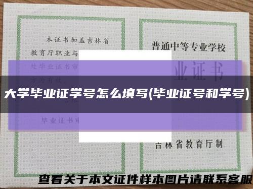 大学毕业证学号怎么填写(毕业证号和学号)缩略图