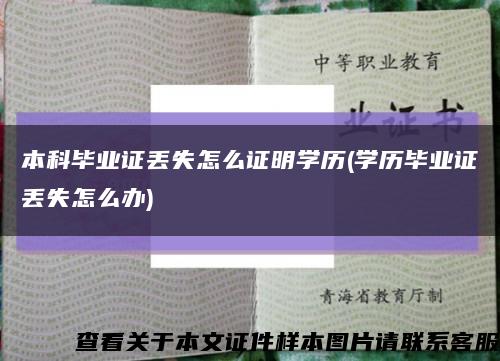 本科毕业证丢失怎么证明学历(学历毕业证丢失怎么办)缩略图