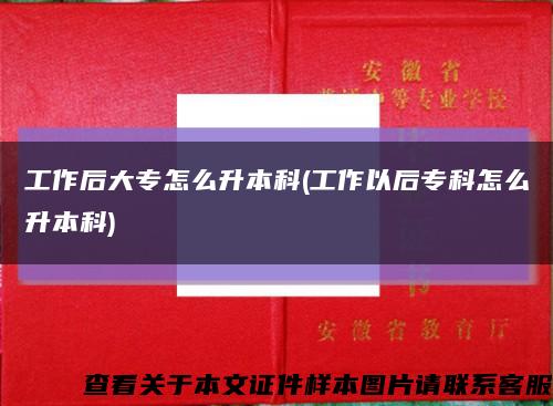 工作后大专怎么升本科(工作以后专科怎么升本科)缩略图