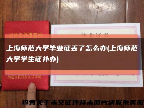 上海师范大学毕业证丢了怎么办(上海师范大学学生证补办)缩略图