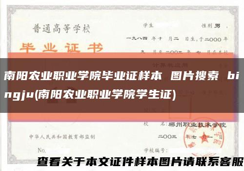 南阳农业职业学院毕业证样本 图片搜索 bingju(南阳农业职业学院学生证)缩略图