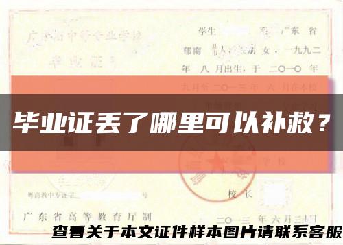 毕业证丢了哪里可以补救？缩略图