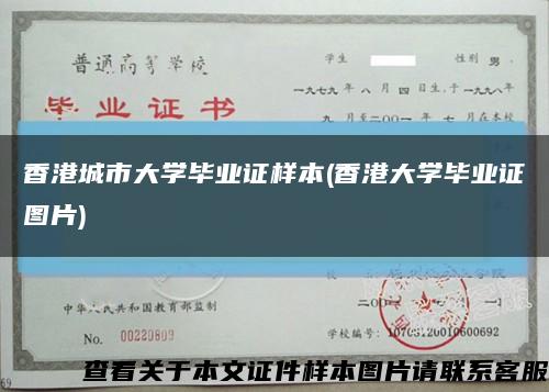 香港城市大学毕业证样本(香港大学毕业证图片)缩略图