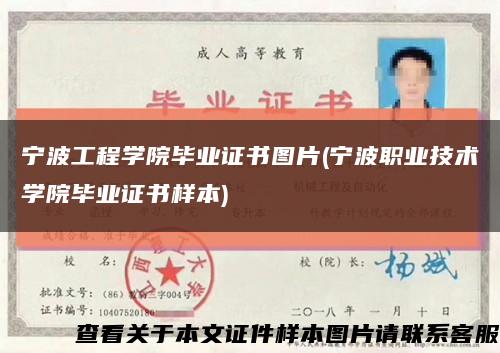 宁波工程学院毕业证书图片(宁波职业技术学院毕业证书样本)缩略图